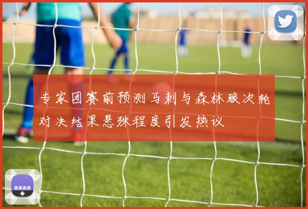 专家团赛前预测马刺与森林狼次轮对决结果悬殊程度引发热议